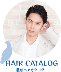 Hair Catalog最新ヘアカタログ